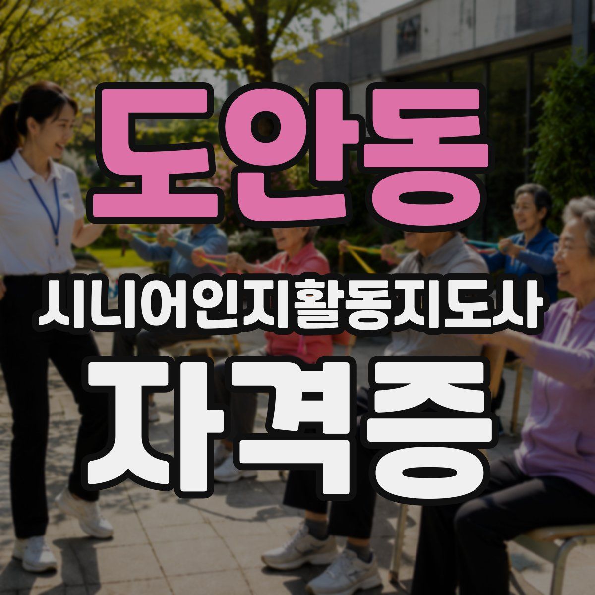 도안동 시니어인지활동지도사 자격증