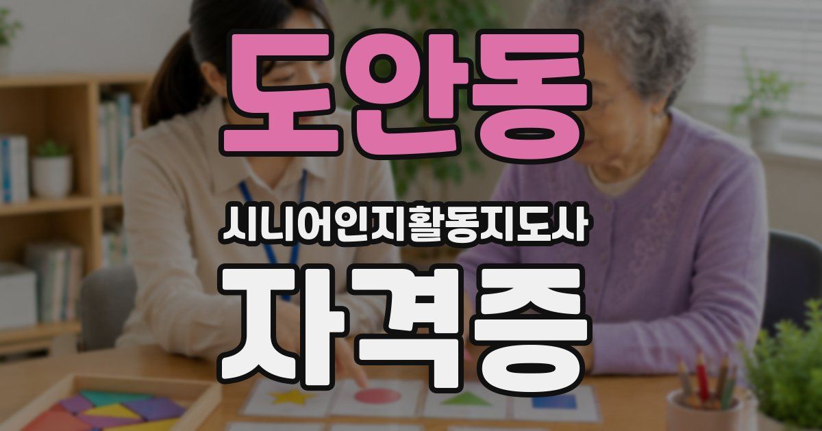 도안동 시니어인지활동지도사 자격증