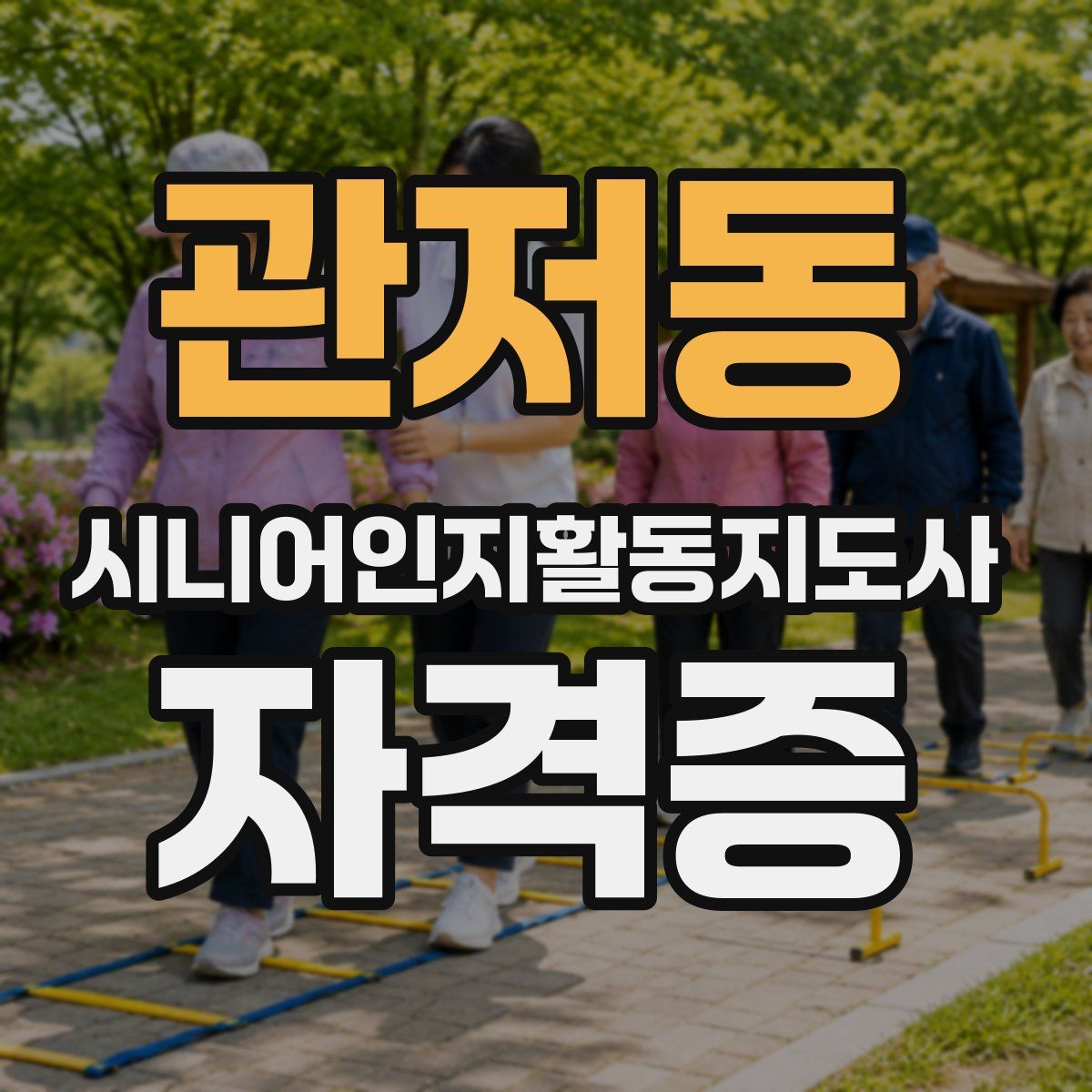 관저동 시니어인지활동지도사 자격증