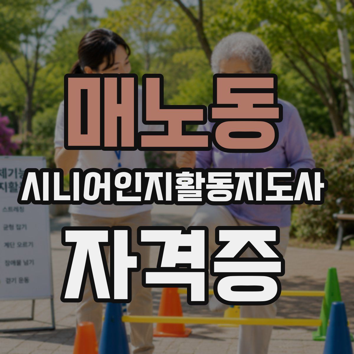 매노동 시니어인지활동지도사 자격증