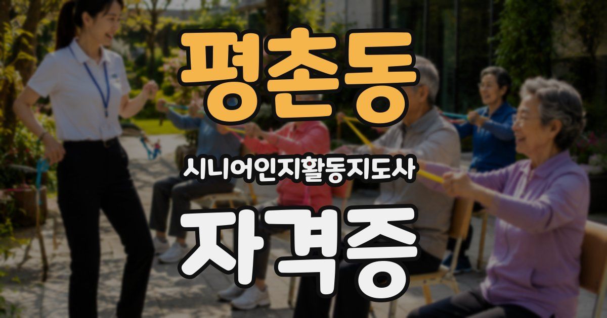 평촌동 시니어인지활동지도사 자격증