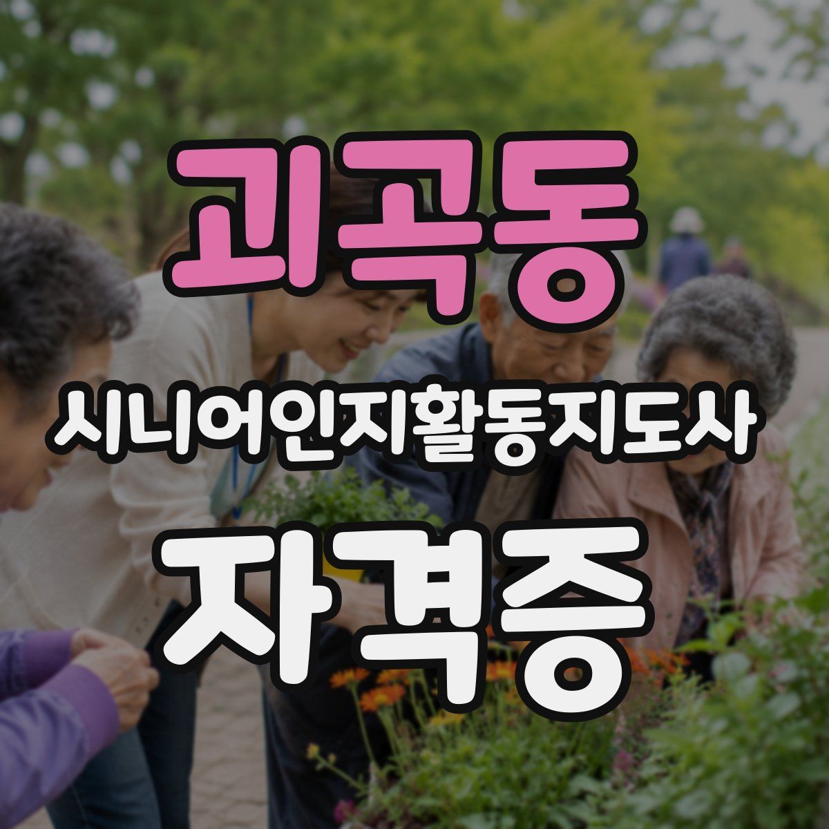 괴곡동 시니어인지활동지도사 자격증