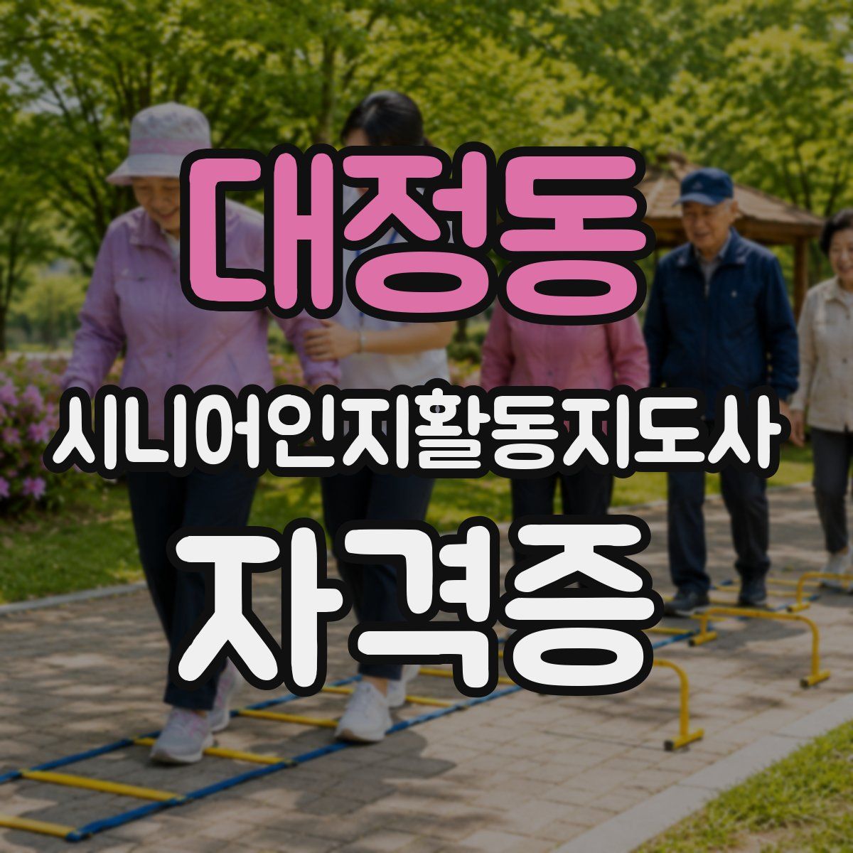 대정동 시니어인지활동지도사 자격증