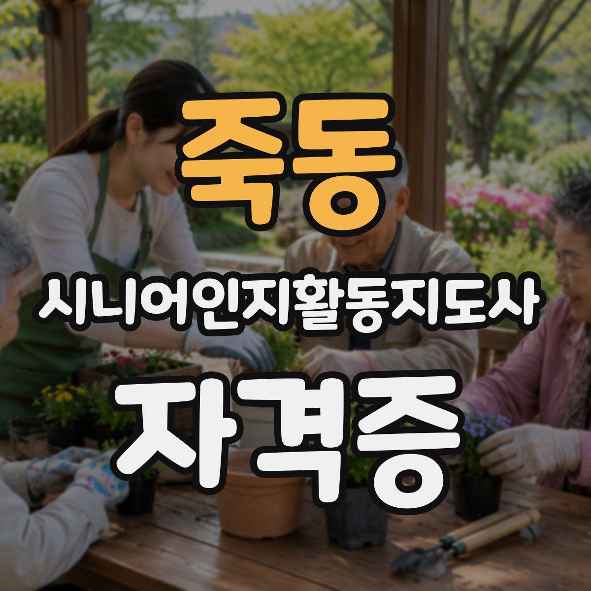 죽동 시니어인지활동지도사 자격증