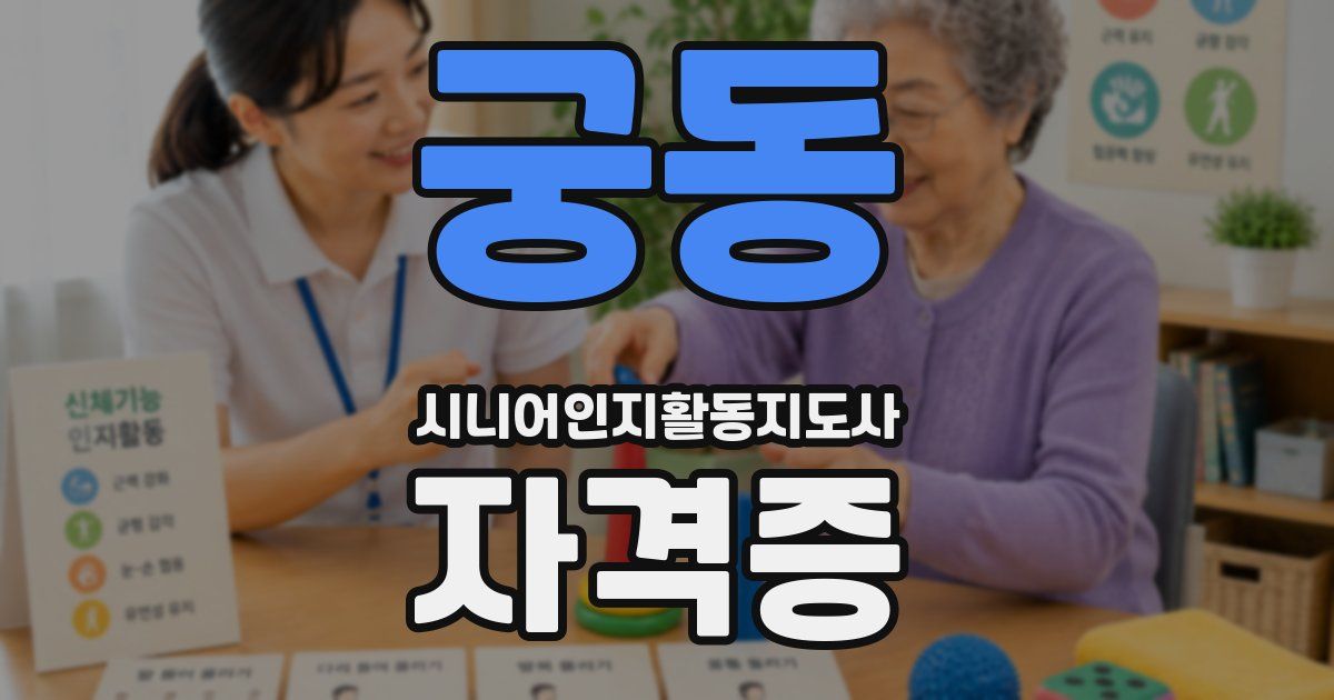 궁동 시니어인지활동지도사 자격증