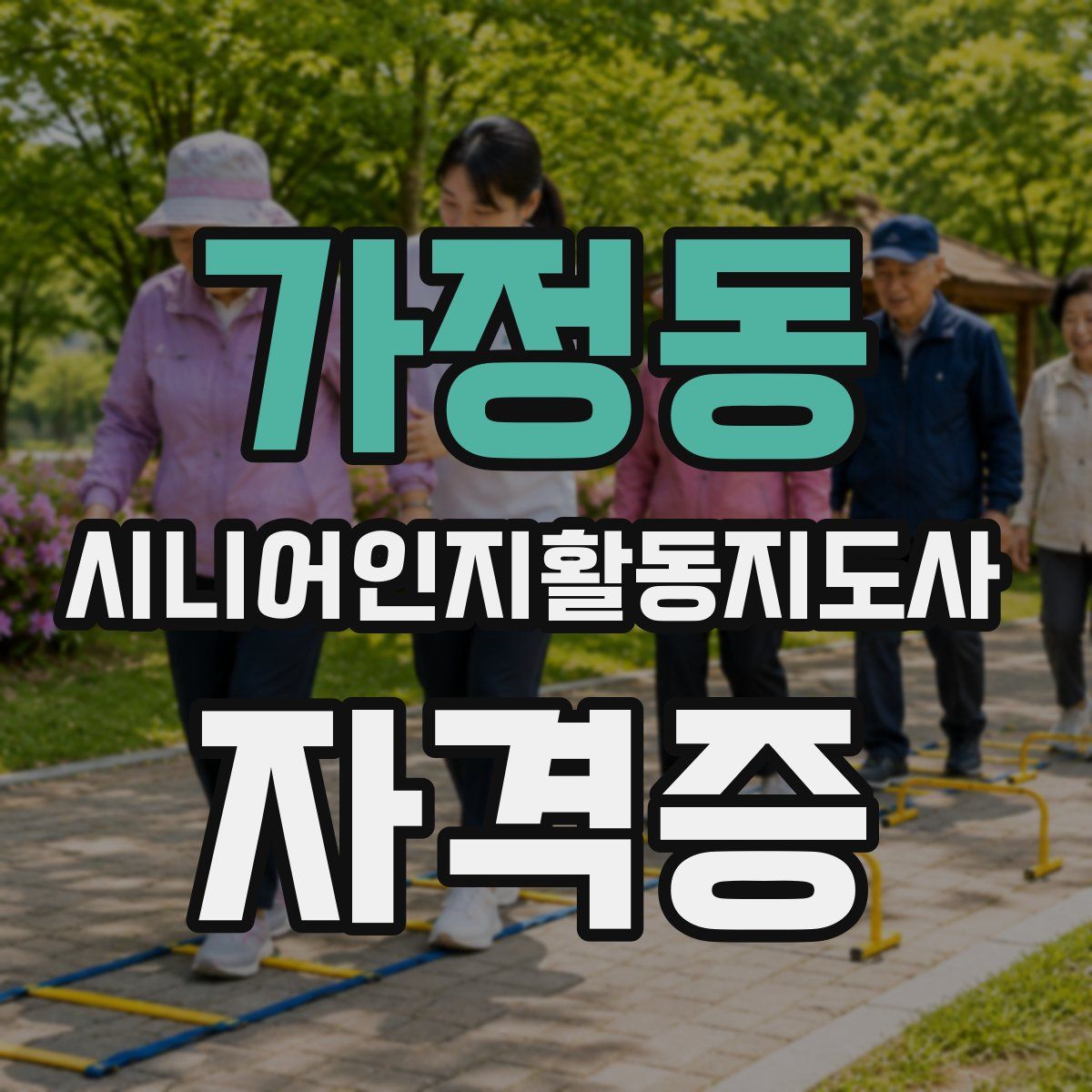 가정동 시니어인지활동지도사 자격증