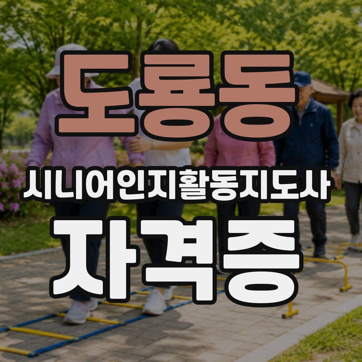 도룡동 시니어인지활동지도사 자격증