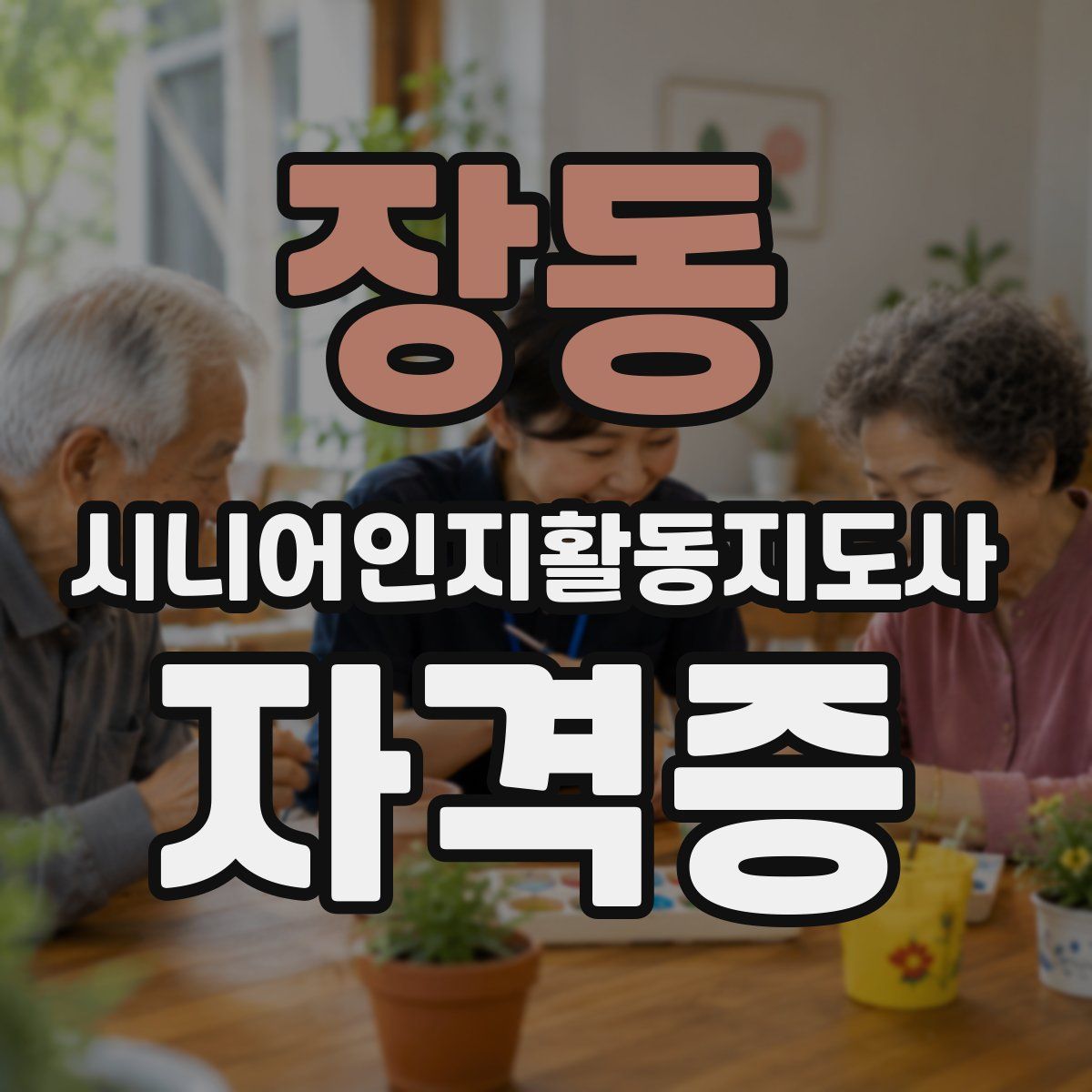 장동 시니어인지활동지도사 자격증