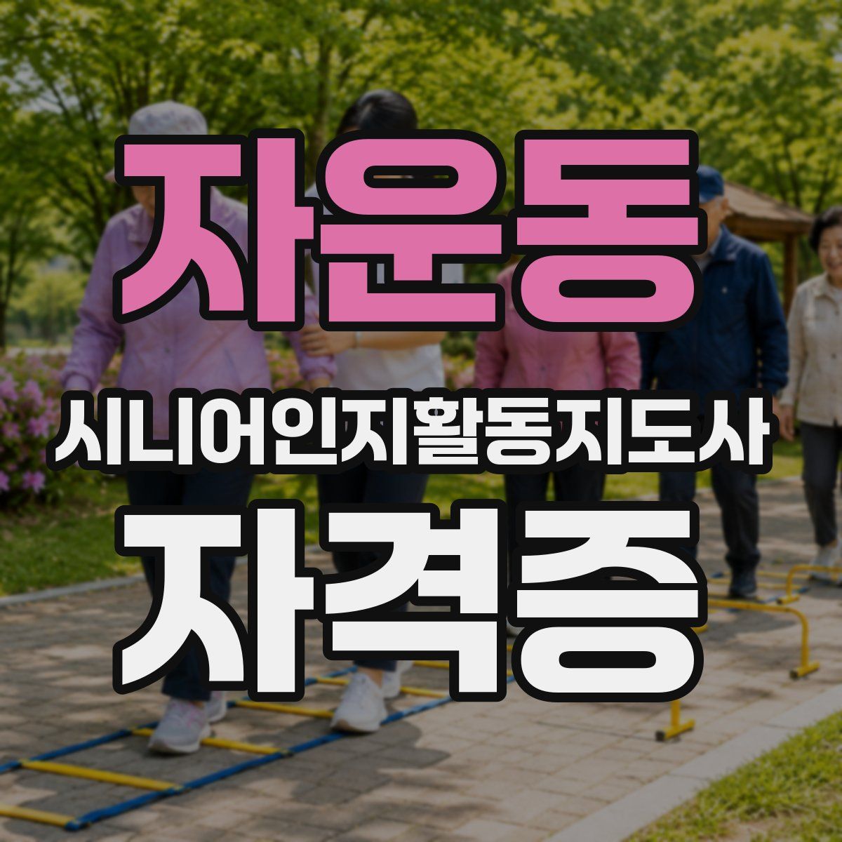 자운동 시니어인지활동지도사 자격증