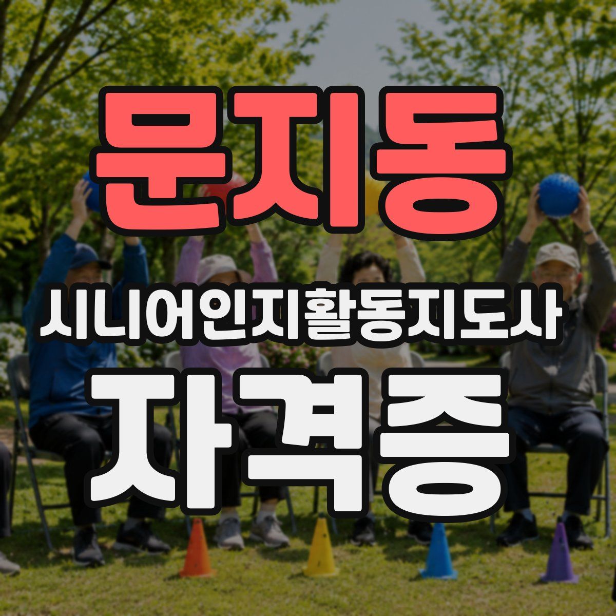 문지동 시니어인지활동지도사 자격증