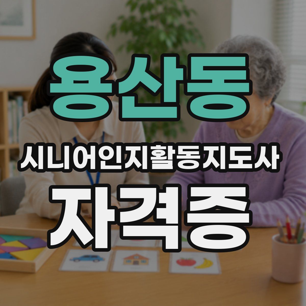 용산동 시니어인지활동지도사 자격증