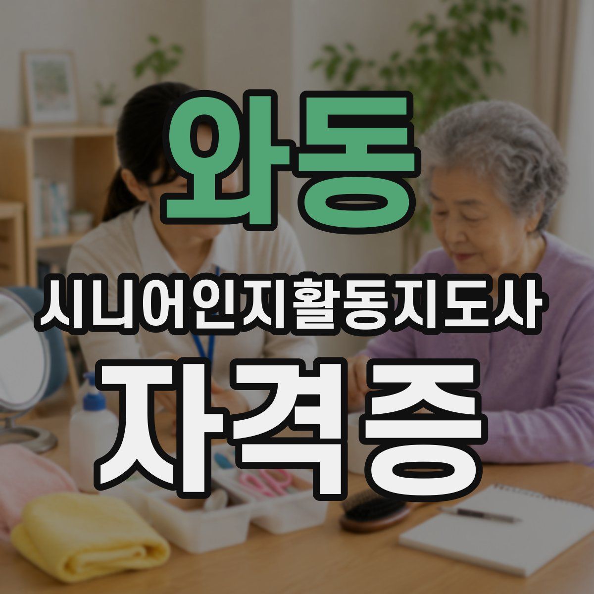 와동 시니어인지활동지도사 자격증