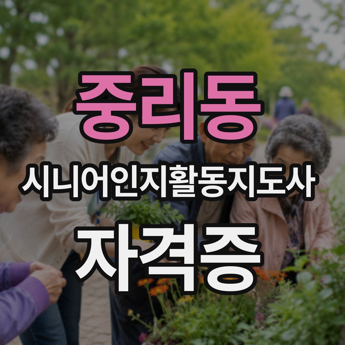 중리동 시니어인지활동지도사 자격증