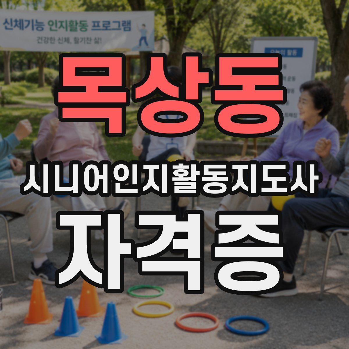 목상동 시니어인지활동지도사 자격증