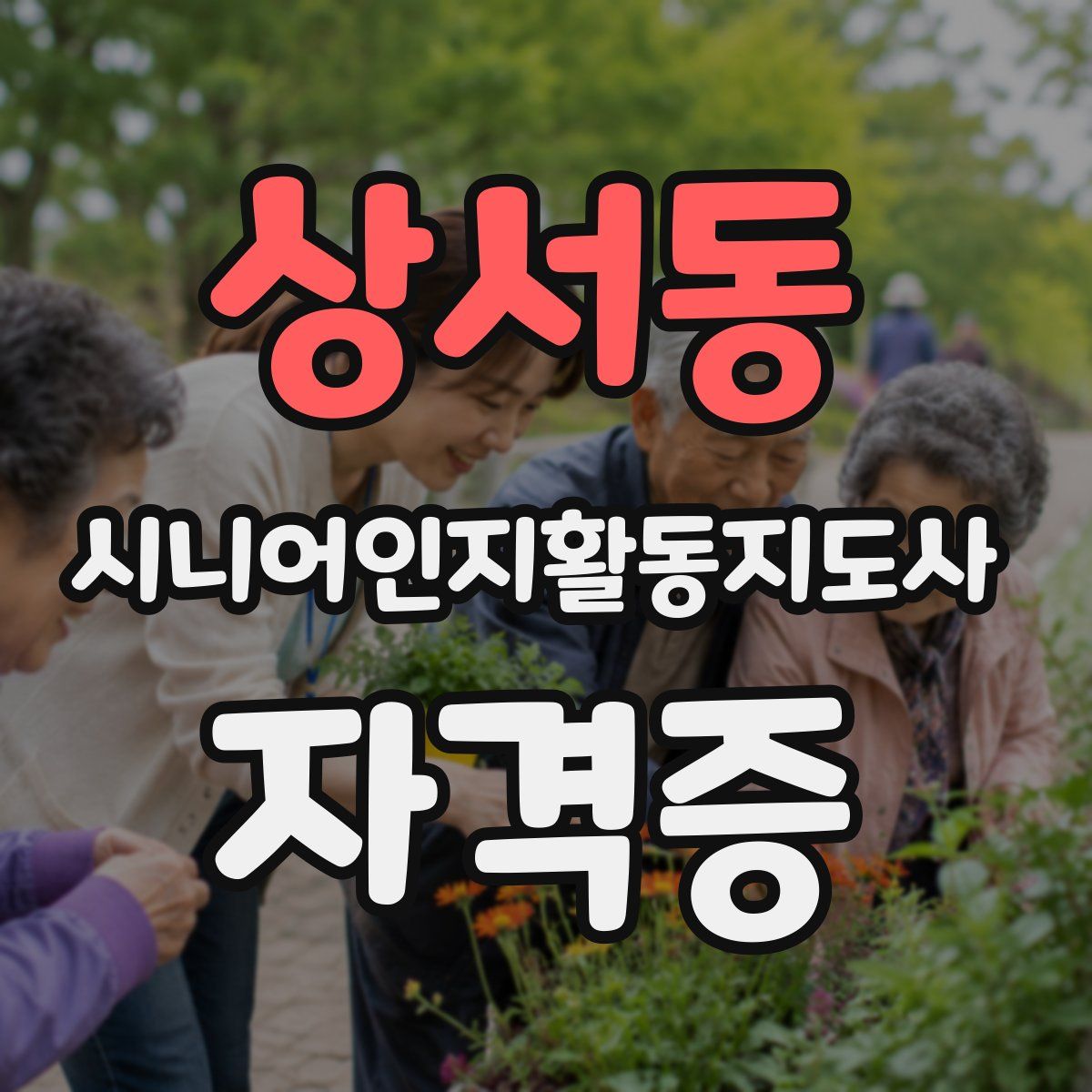 상서동 시니어인지활동지도사 자격증