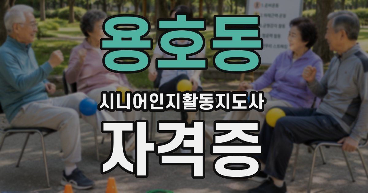용호동 시니어인지활동지도사 자격증