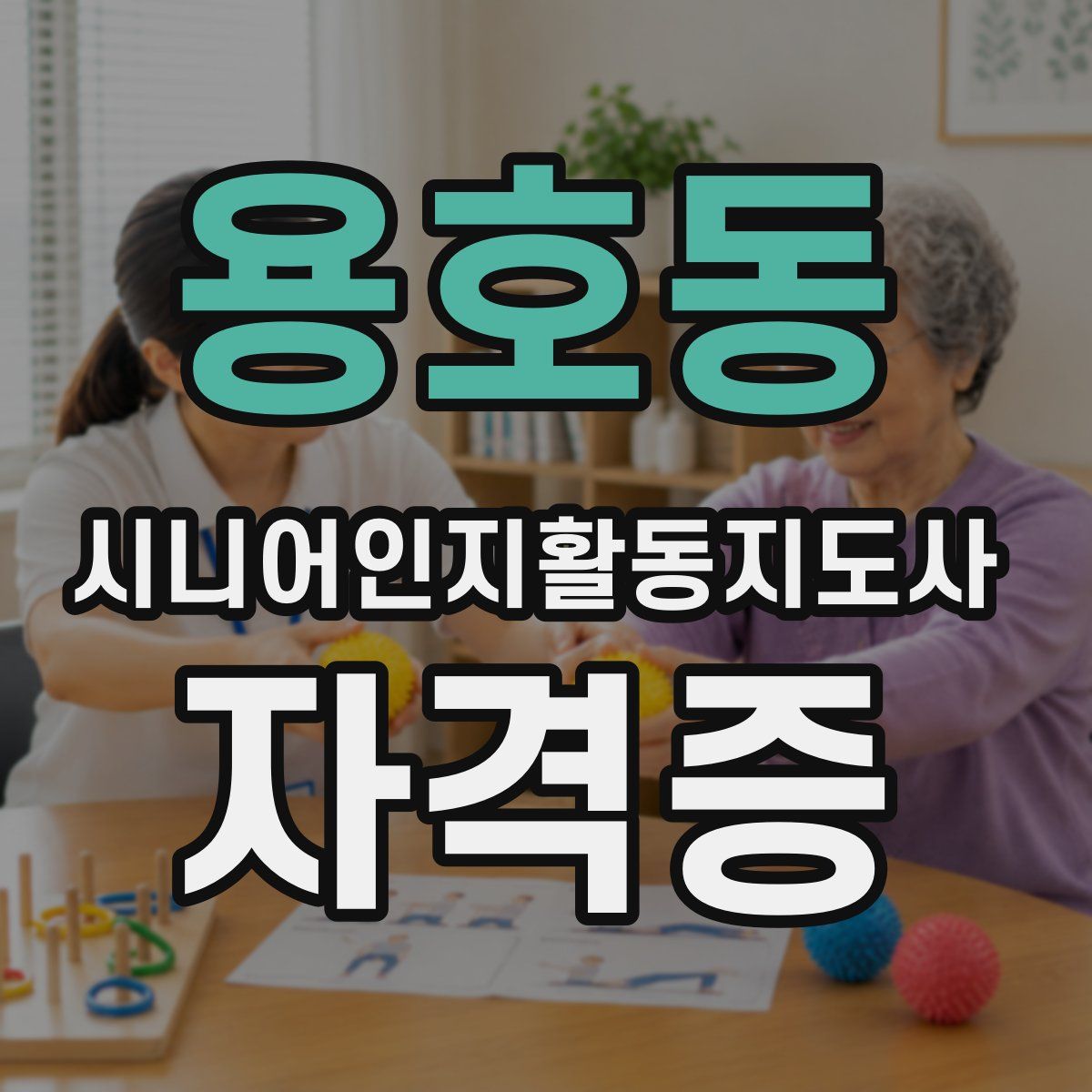 용호동 시니어인지활동지도사 자격증