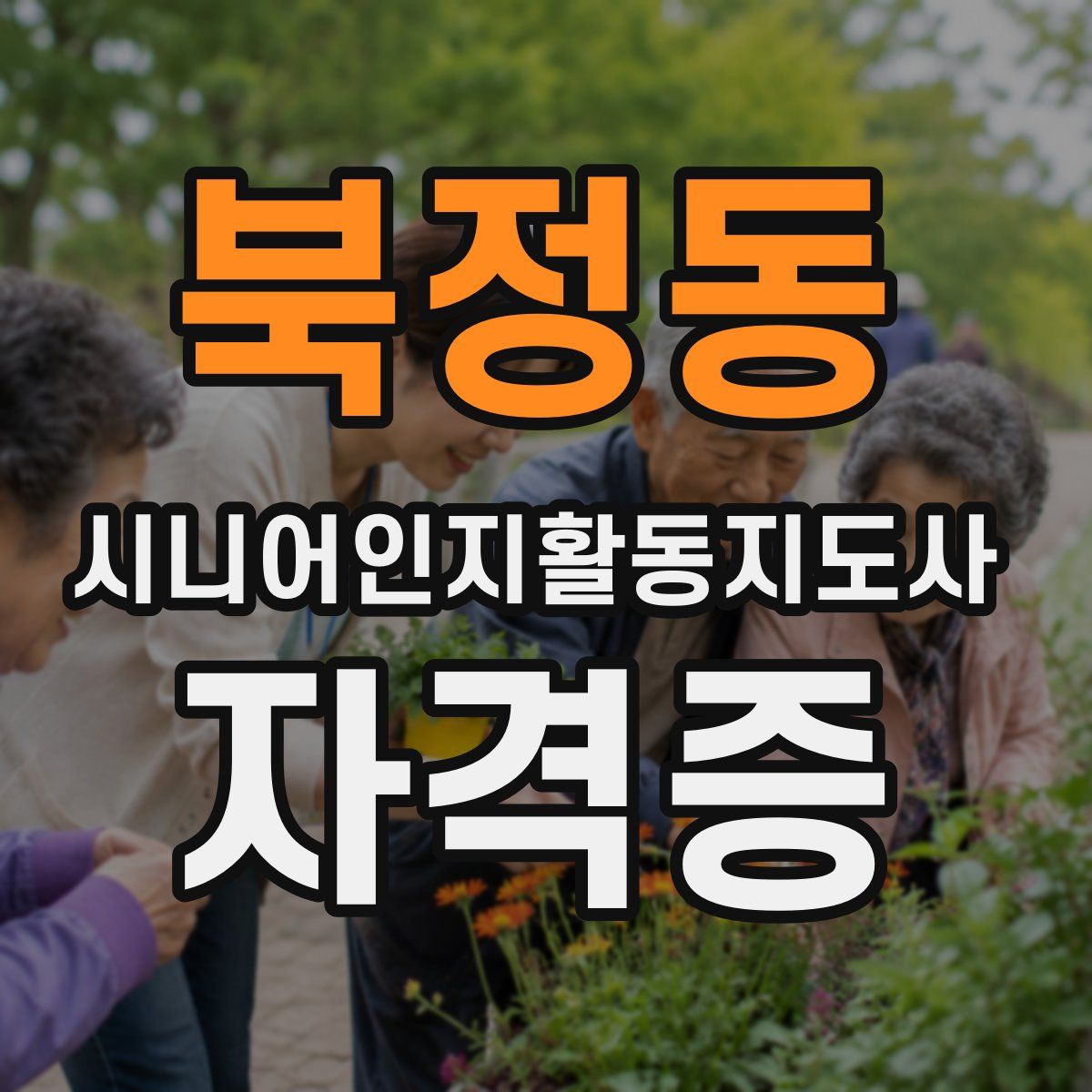 북정동 시니어인지활동지도사 자격증