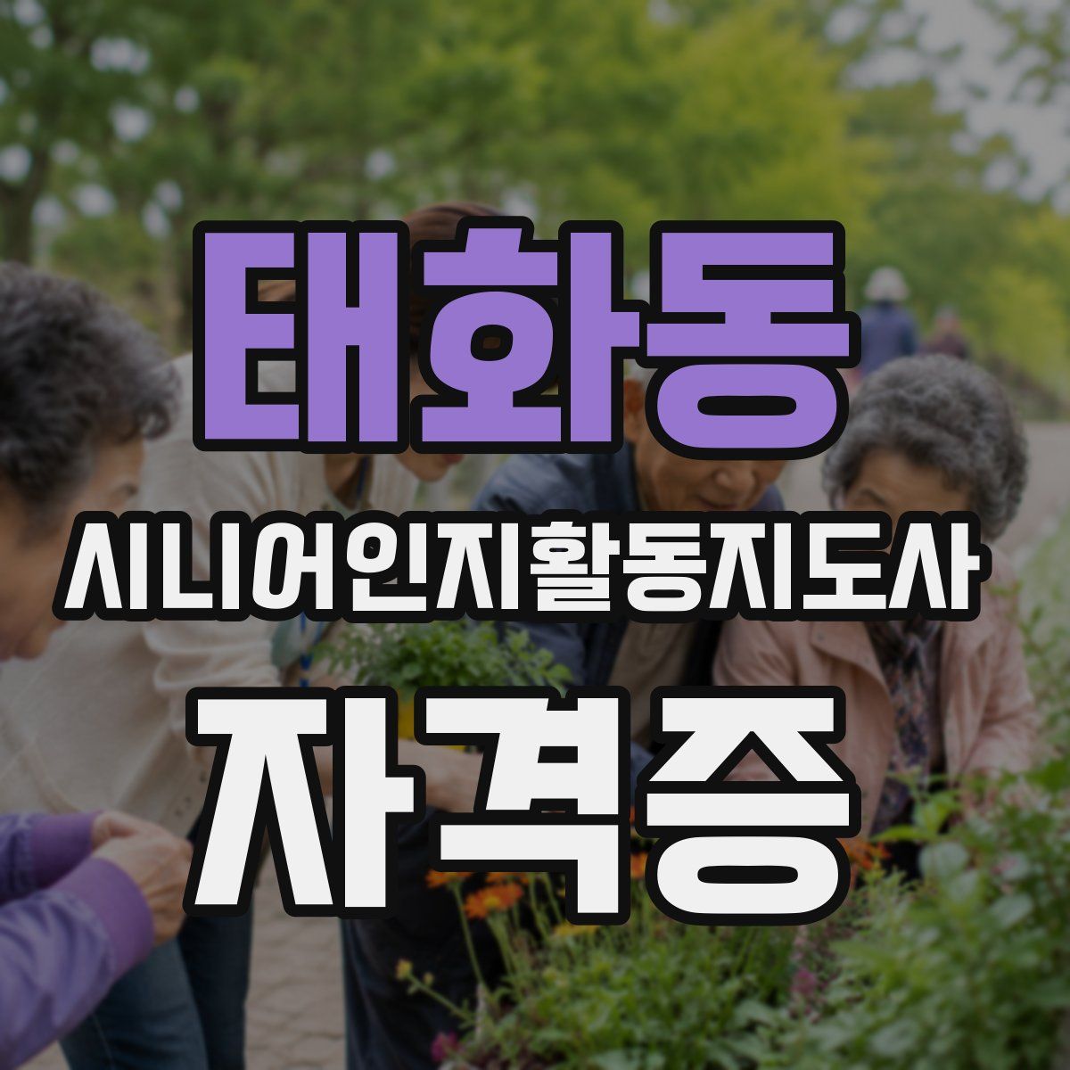 태화동 시니어인지활동지도사 자격증