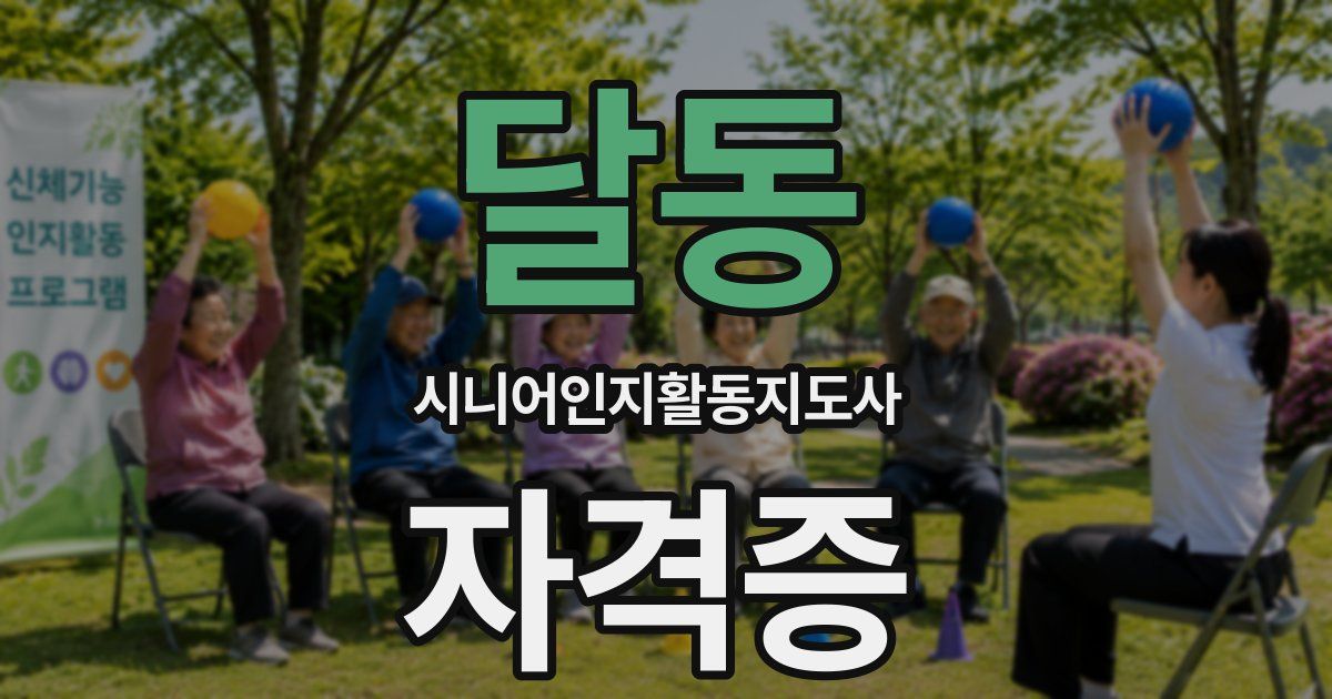 달동 시니어인지활동지도사 자격증