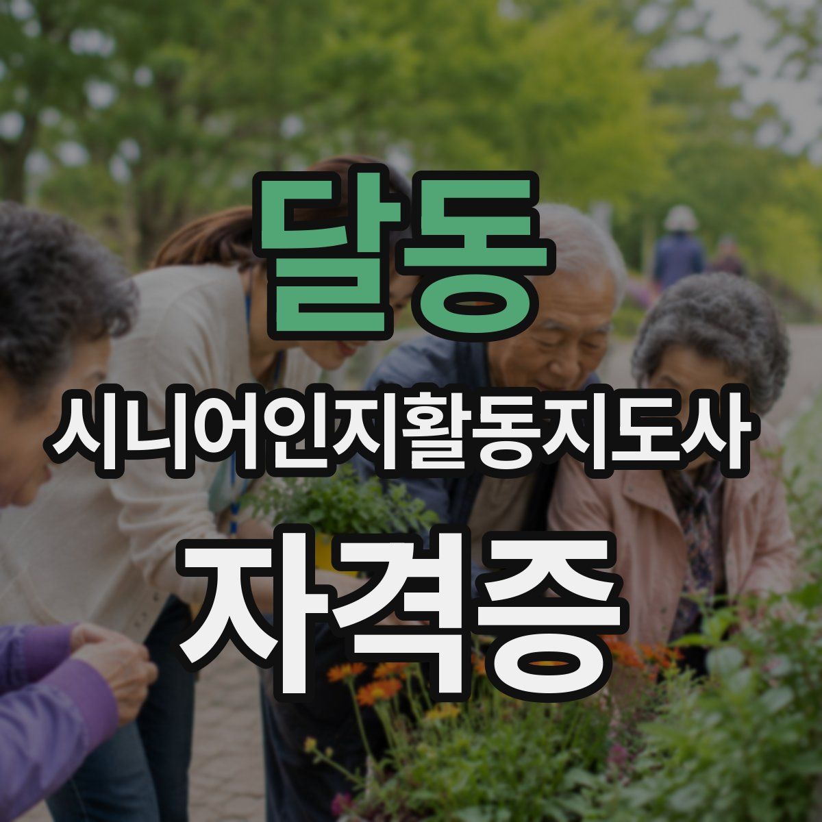 달동 시니어인지활동지도사 자격증