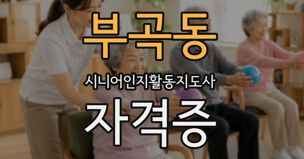 부곡동 시니어인지활동지도사 자격증