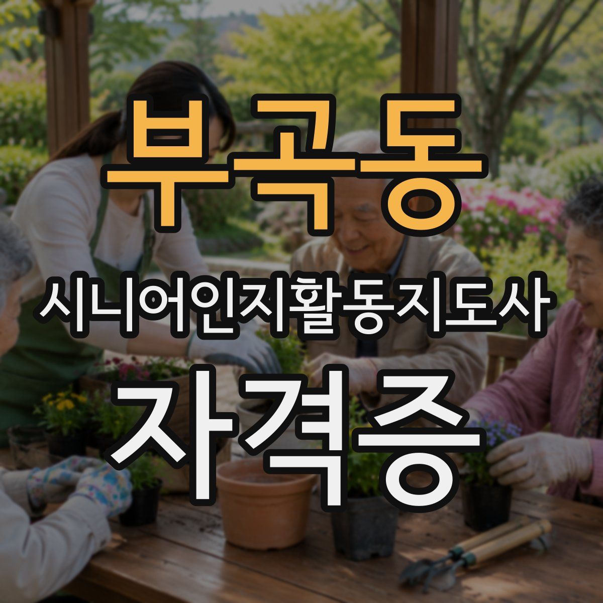 부곡동 시니어인지활동지도사 자격증