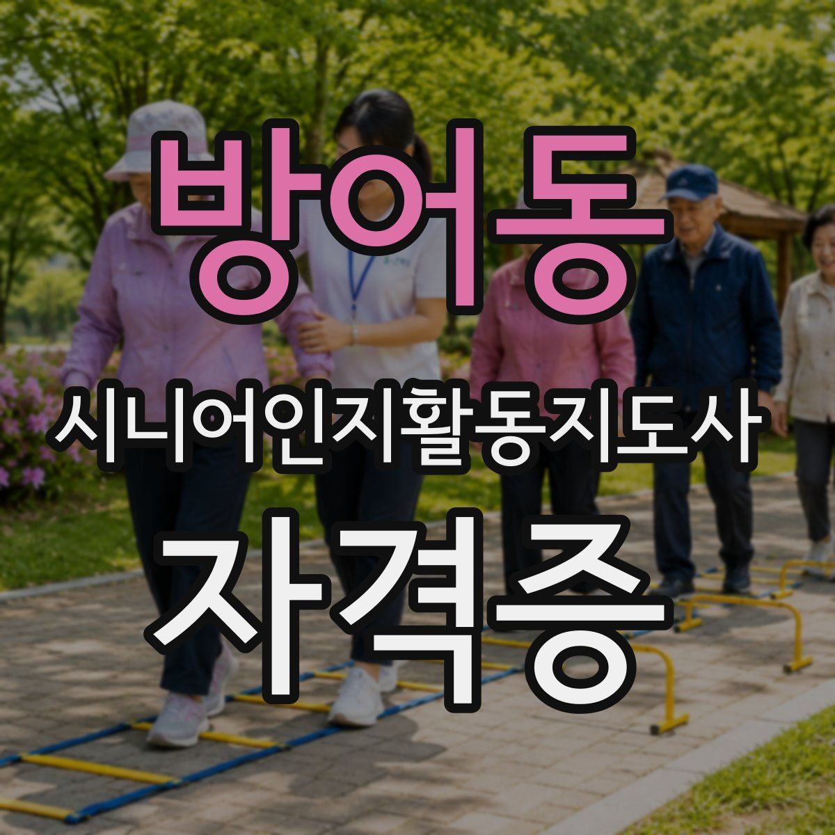 방어동 시니어인지활동지도사 자격증