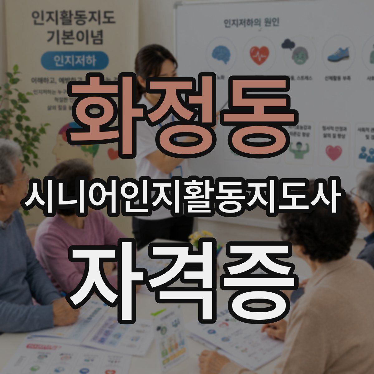 화정동 시니어인지활동지도사 자격증
