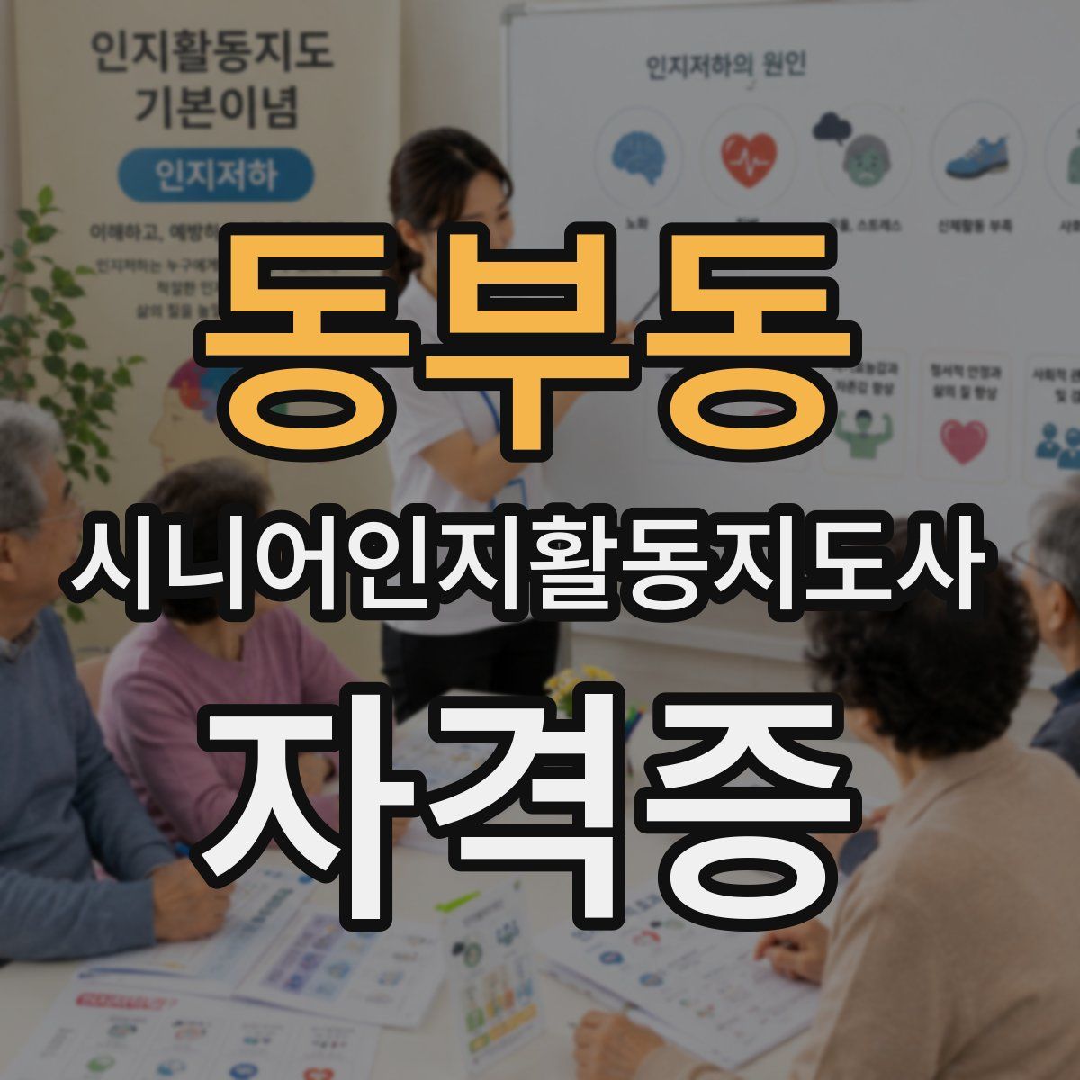 동부동 시니어인지활동지도사 자격증