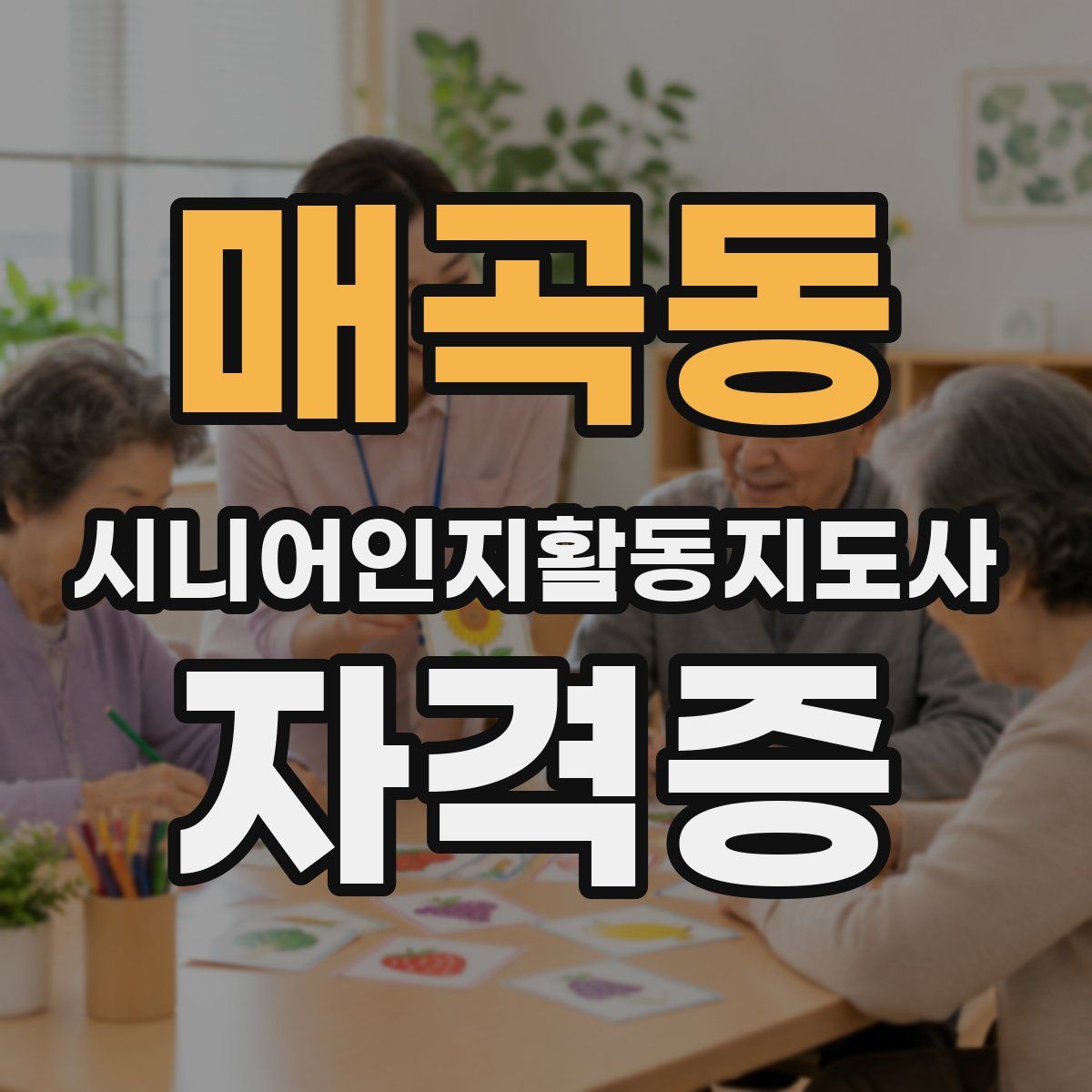 매곡동 시니어인지활동지도사 자격증