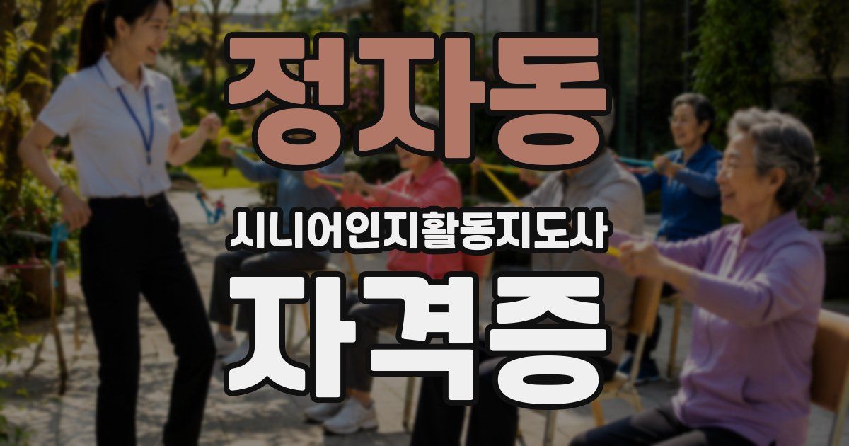 정자동 시니어인지활동지도사 자격증