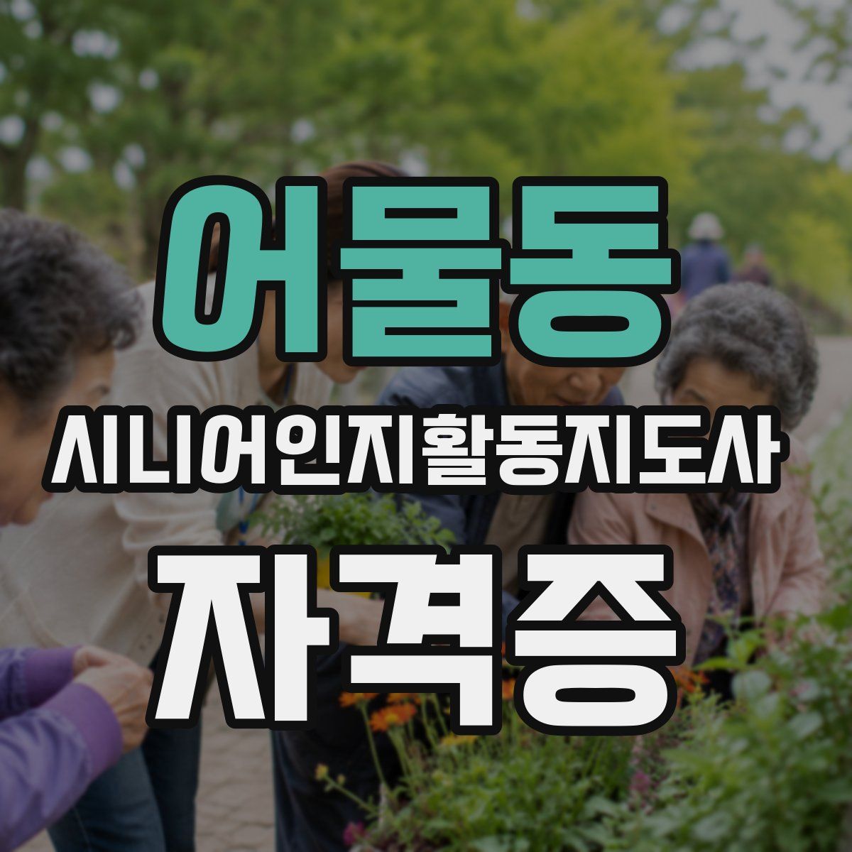 어물동 시니어인지활동지도사 자격증