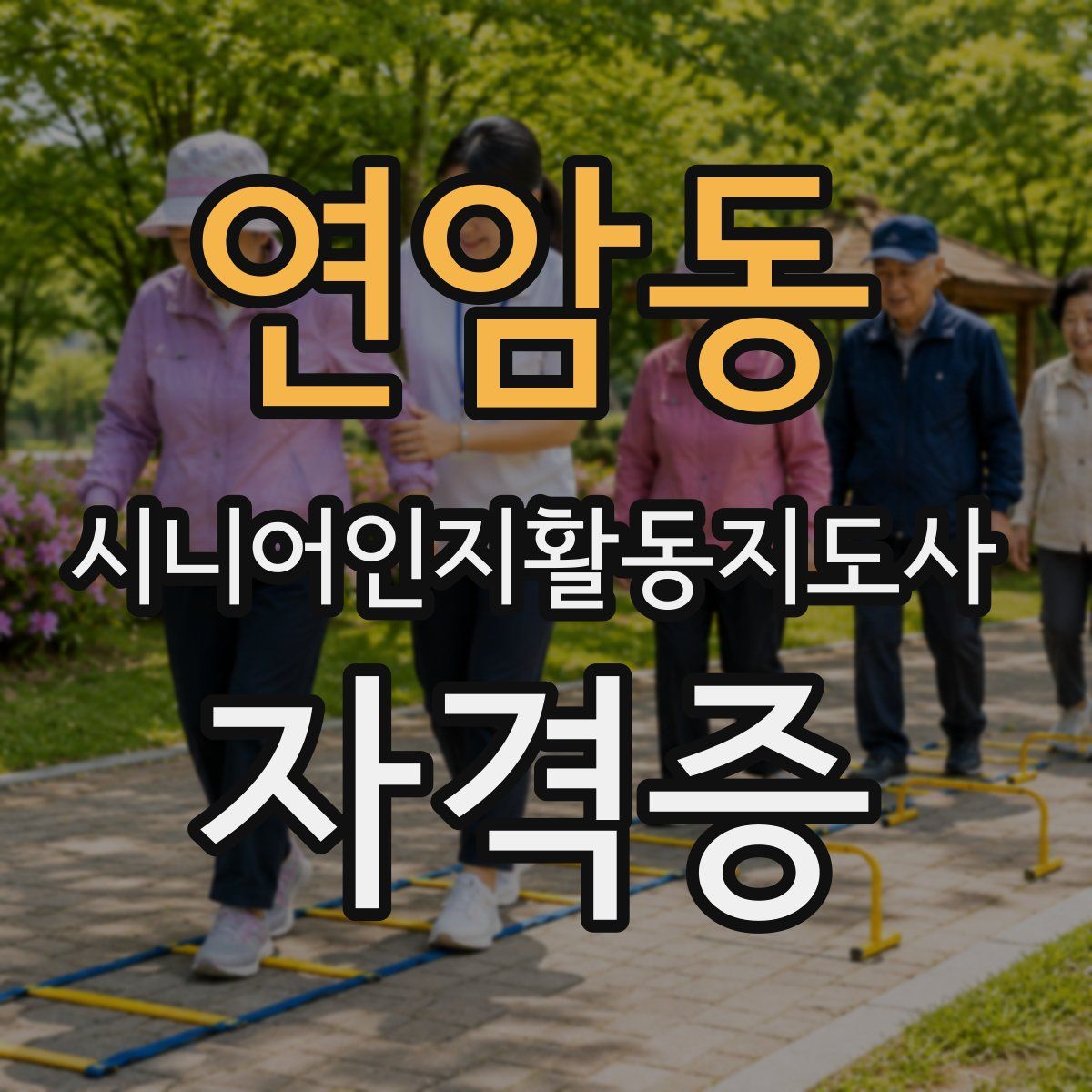 연암동 시니어인지활동지도사 자격증
