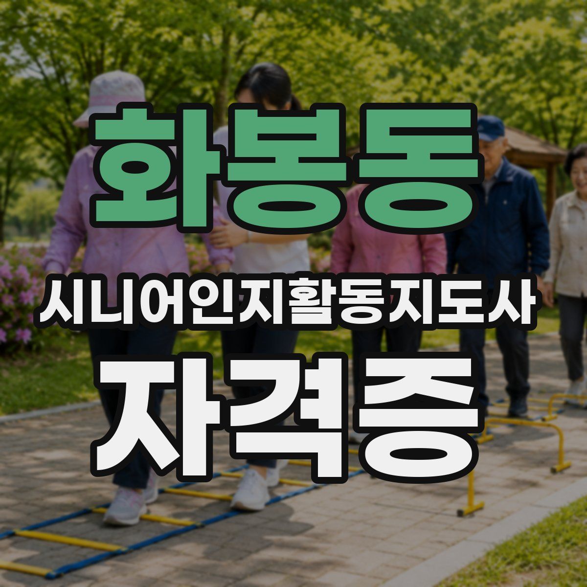 화봉동 시니어인지활동지도사 자격증