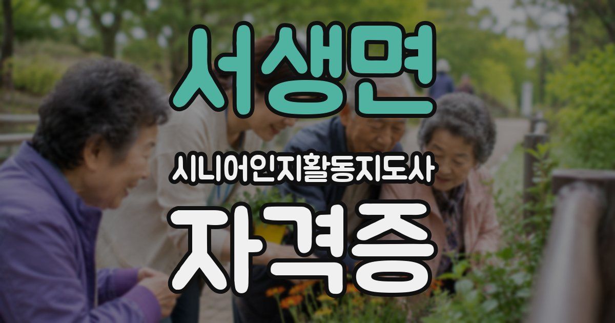 서생면 시니어인지활동지도사 자격증