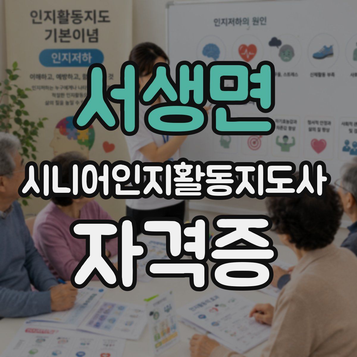 서생면 시니어인지활동지도사 자격증