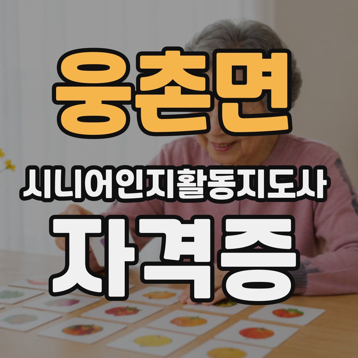 웅촌면 시니어인지활동지도사 자격증