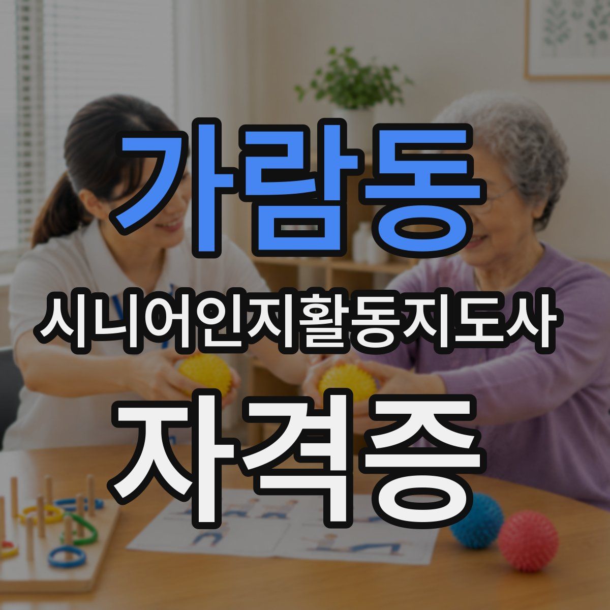 가람동 시니어인지활동지도사 자격증