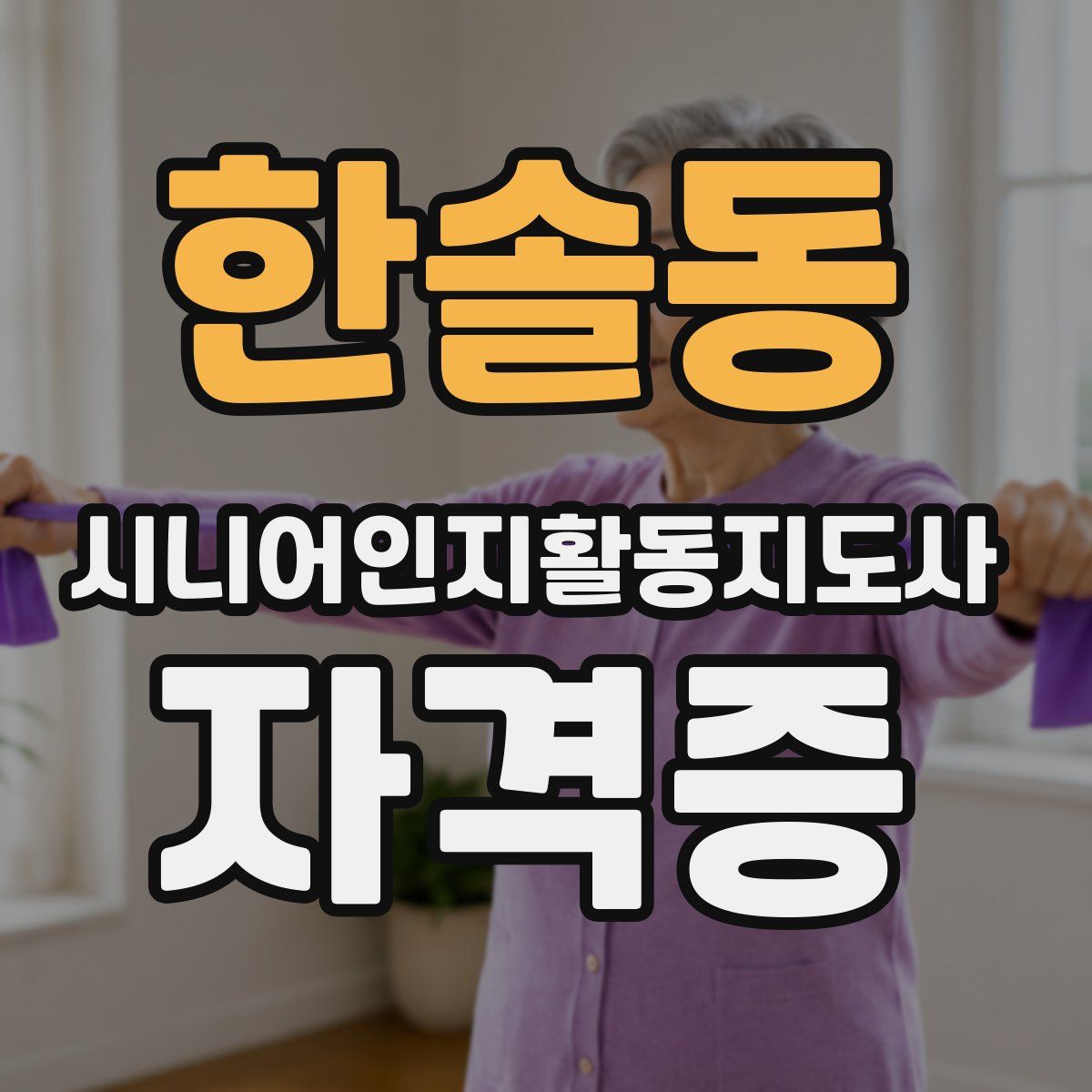 한솔동 시니어인지활동지도사 자격증