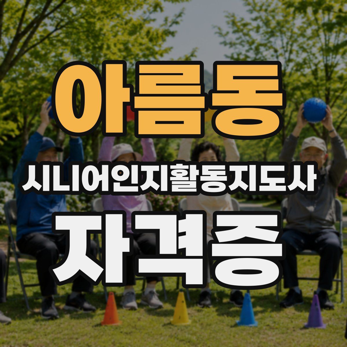 아름동 시니어인지활동지도사 자격증