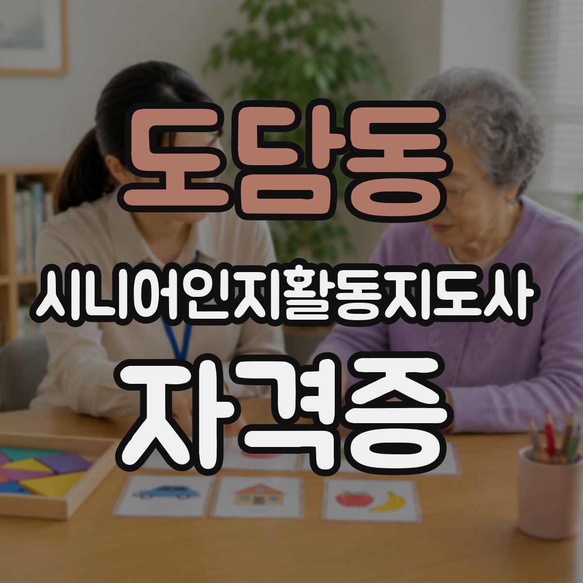 도담동 시니어인지활동지도사 자격증