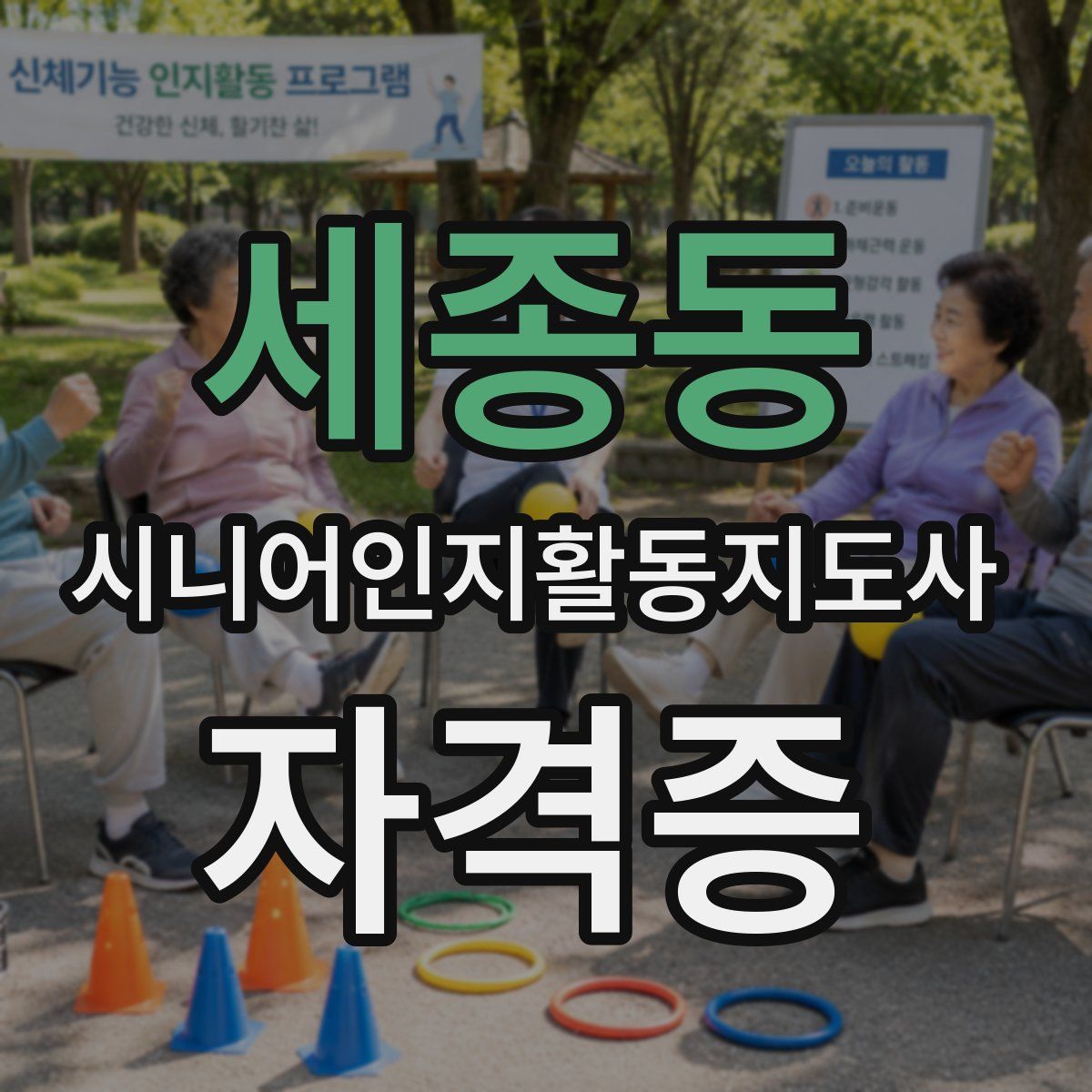 세종동 시니어인지활동지도사 자격증