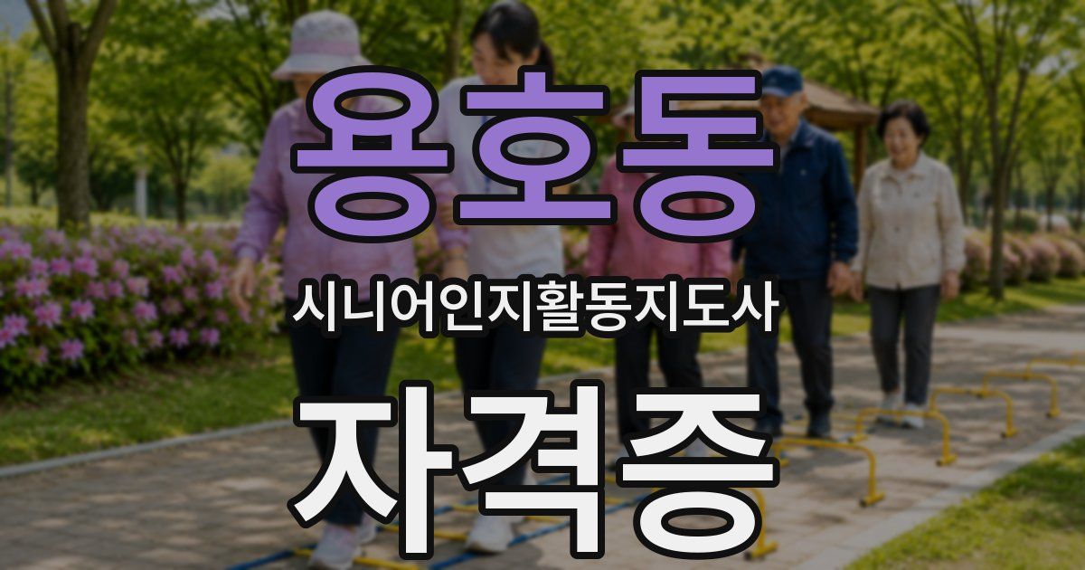 용호동 시니어인지활동지도사 자격증