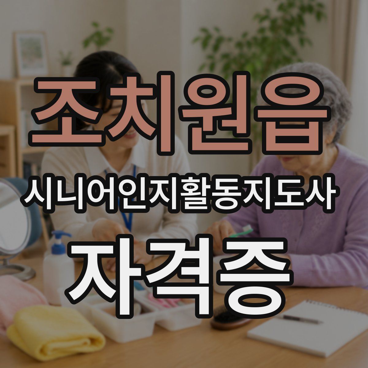 조치원읍 시니어인지활동지도사 자격증