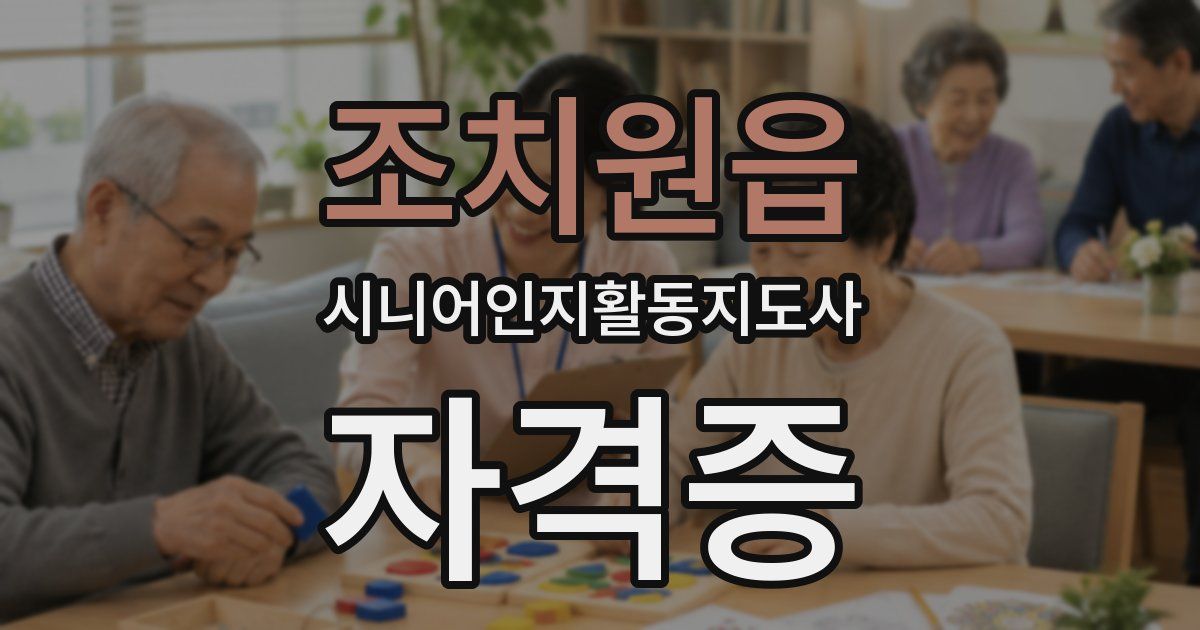 조치원읍 시니어인지활동지도사 자격증