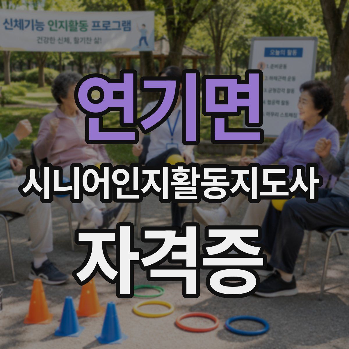 연기면 시니어인지활동지도사 자격증