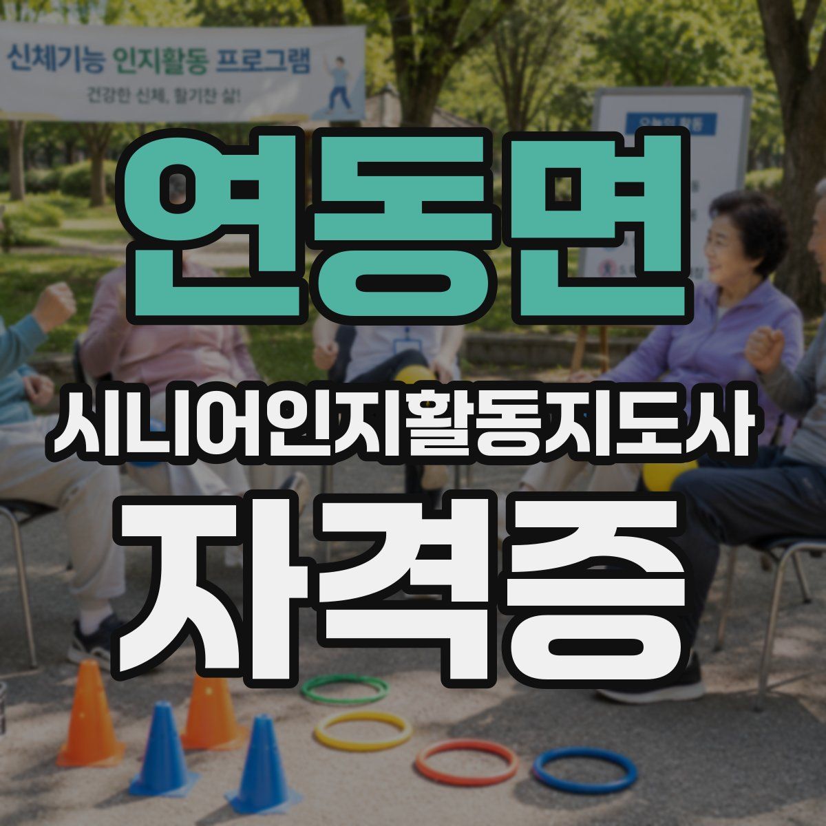 연동면 시니어인지활동지도사 자격증