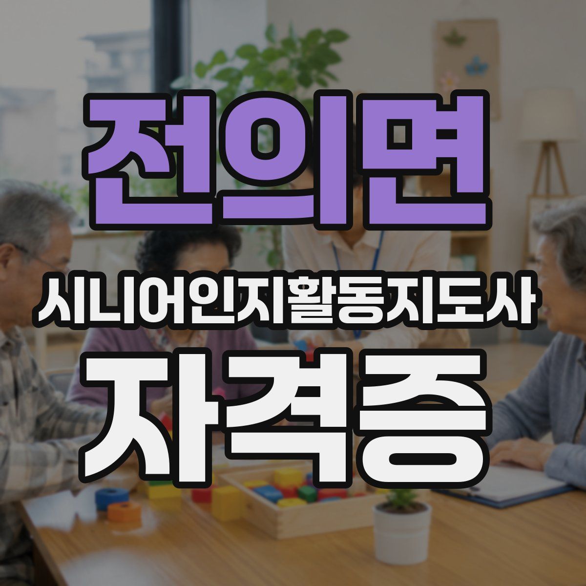 전의면 시니어인지활동지도사 자격증