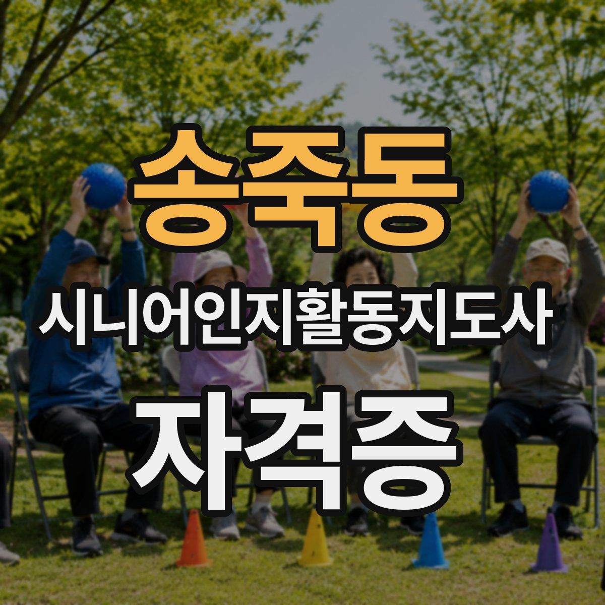 송죽동 시니어인지활동지도사 자격증